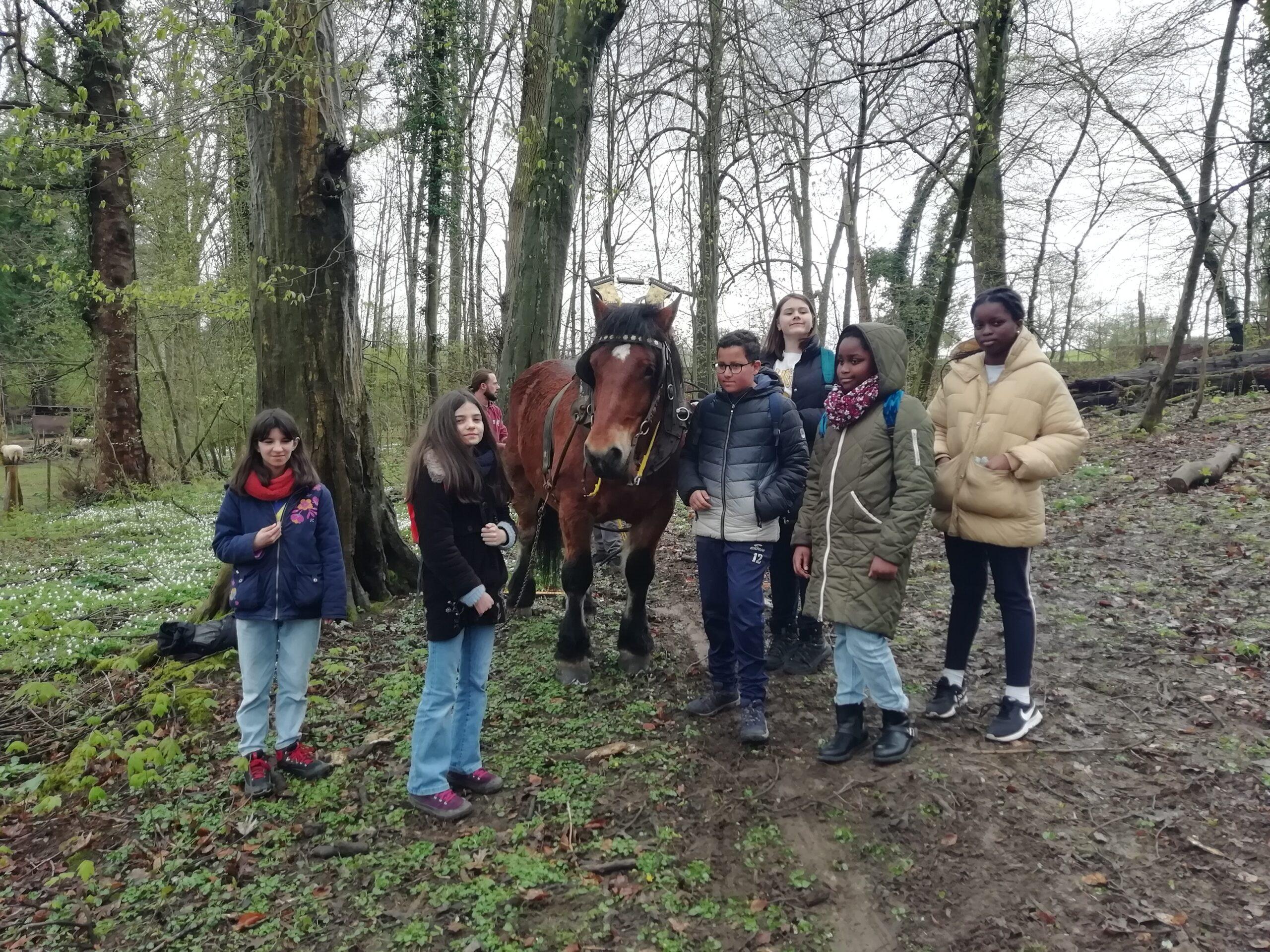 Sortie cheval & forêt – 5 avril 2022