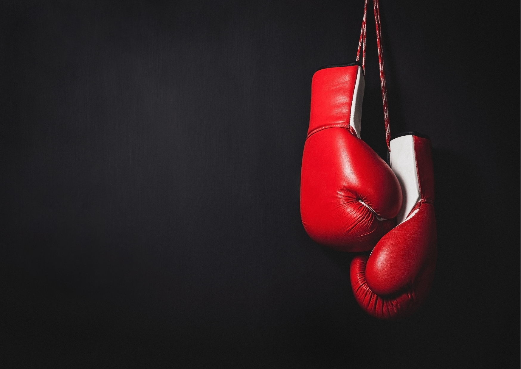 Sport de combat
