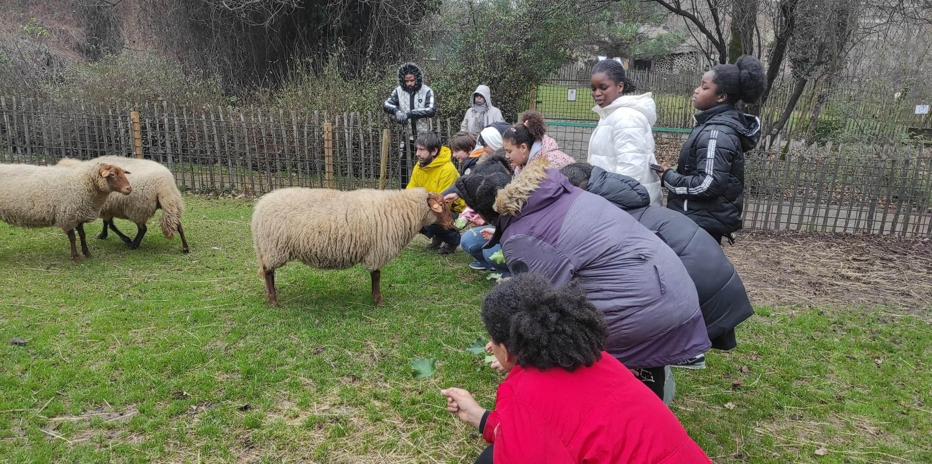 Après-midi avec les animaux de la ferme – 5 janvier