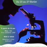 Stage Scientifika - Inter MJ